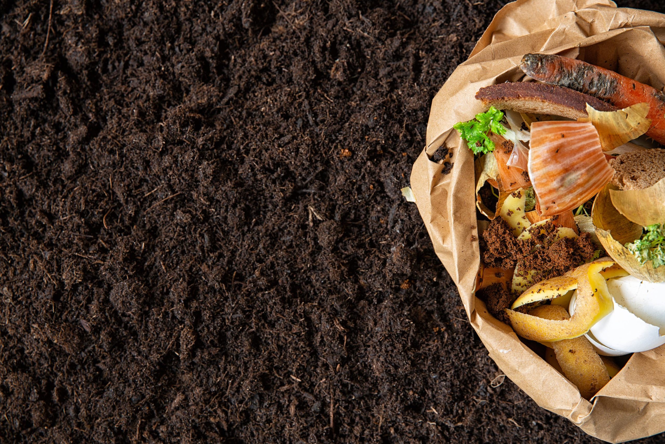 environmental-control-sorting-food-waste-environmental-packages-min