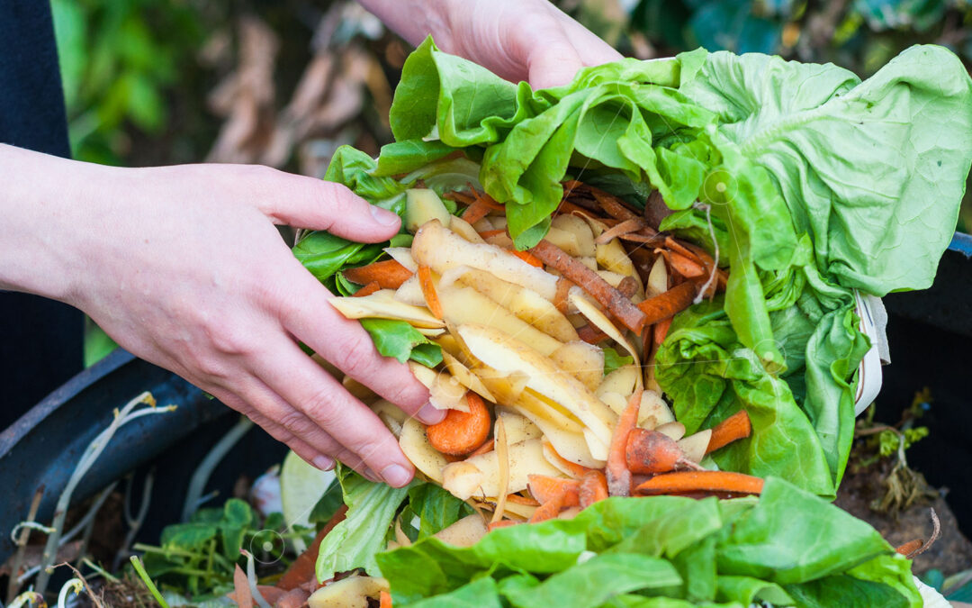 Quinzaine du compostage « Tous au compost »